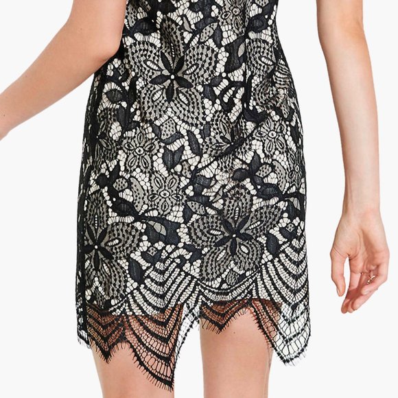 Express Women's Black Sheer Floral Lace Contrast Scalloped Hem Sheath Dress - Picture 10 of 13